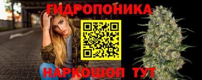 эйфоретик Партизанск