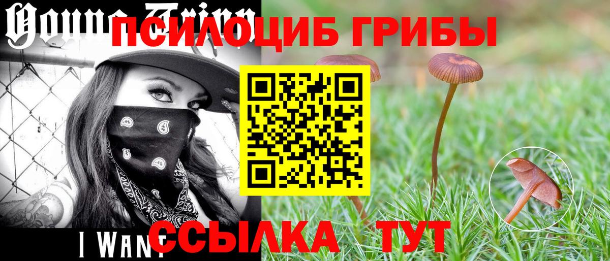 Псилоцибиновые грибы ЛСД  Вход с VPN  купить наркоту  Саранск  Галлюциногенные грибы мухоморы 