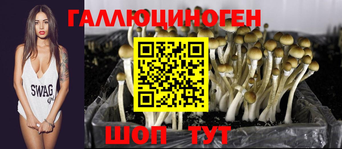 Псилоцибиновые грибы ЛСД Саранск